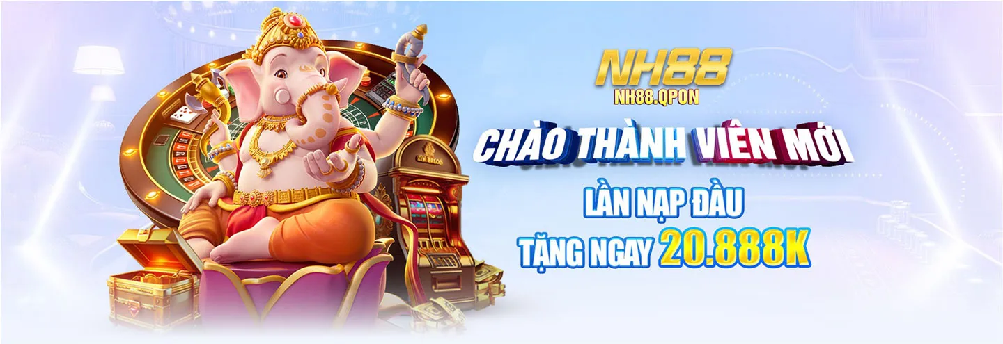 Banner NH88